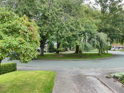 Picture 28
